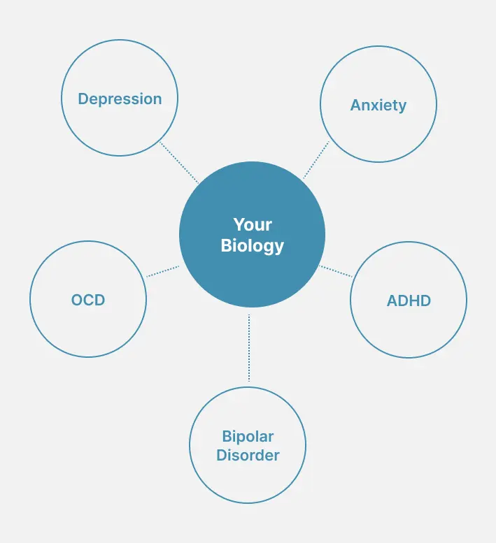 yourbioweb
